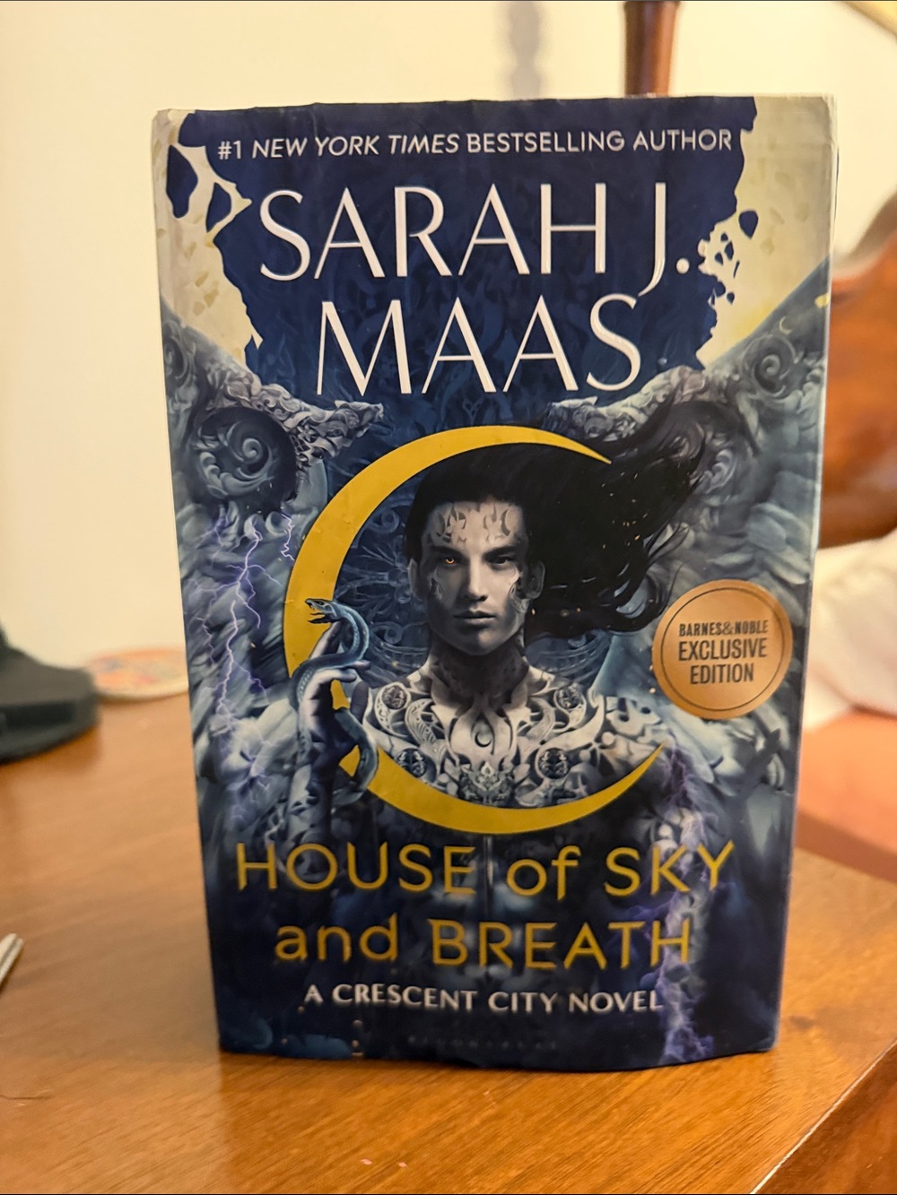 Chronicle Books Blue and Gold 'House of Sky and Breath' Hardcover